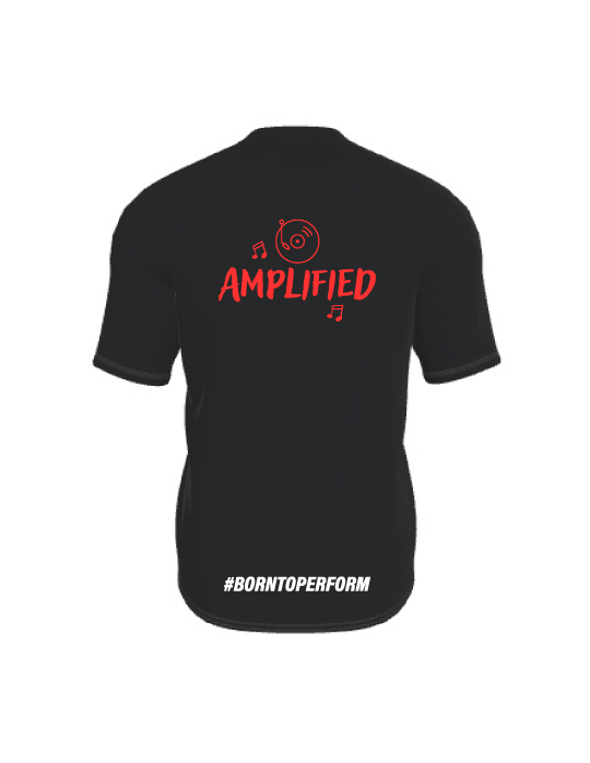 WSOAMPLISHIRTBACK