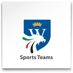 WSO Sport